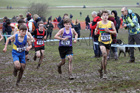 Boys under-13s 2018 British Inter Counties Cross Country Champs., Prestwold Hall, Loughborough. Photo: David T. Hewitson/Sports for All Pics